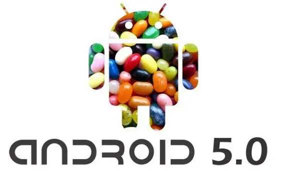 Google Nexus llegará a través de varios dispositivos con el sabor de Jelly Bean