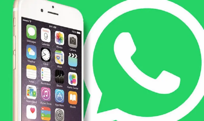 WhatsApp finaliza soporte para smartphones con Gingerbread y iOS8