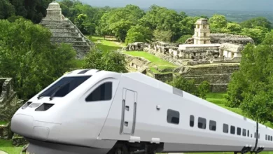 Todo lo que sabemos hasta ahora sobre el Tren Maya