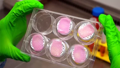 Órganos y Tejidos Impresos en 3D. Así funciona la Bioimpresión que algún día podría salvarte la Vida.