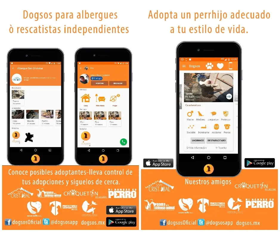 Adopta o da en adopción a perros con la app ‘Dogsos’