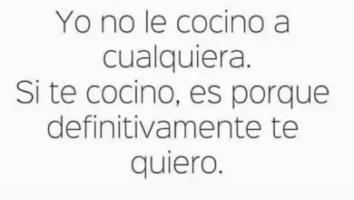 ¿Qué sucede si cocino mi Palm?