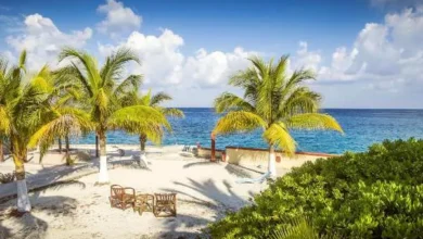 Sol, chic@s, arena y gadgets – TwittCozumel inicia en 1 día