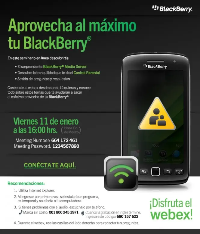 Blackberry master control program не открывается