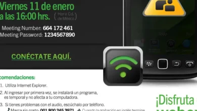 Control Parental y manejo del Media Server en tu BlackBerry