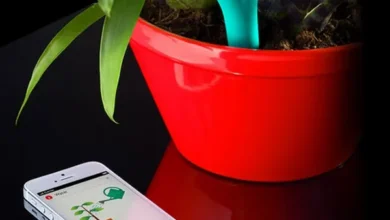 Flower Power de Parrot, monitorea tus plantas #2013CES