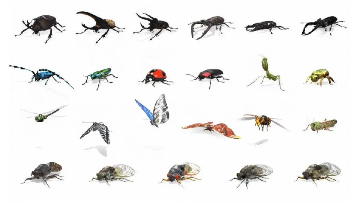 Google añade más de 20 insectos a la colección de 3D Animals