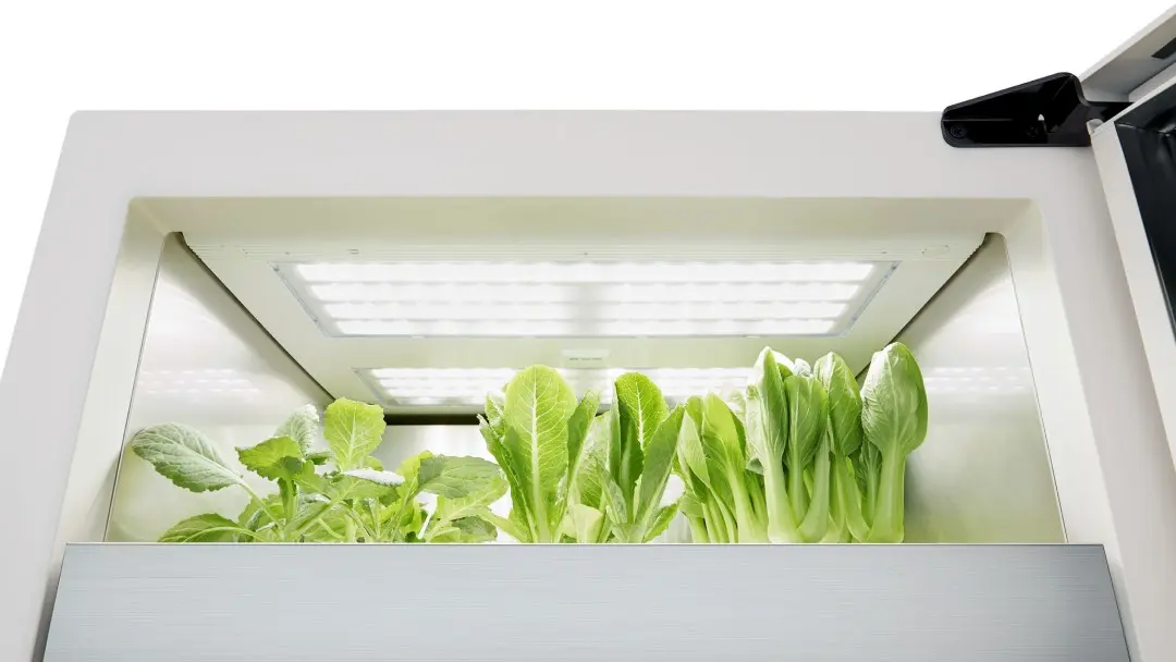 LG presenta su dispositivo inteligente de jardinería y cultivo de alimentos