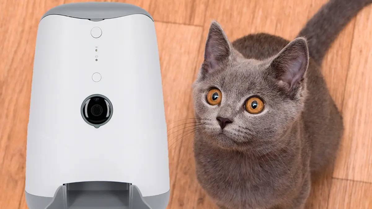 Consiente a tu gato con el nuevo dispensador de alimento inteligente