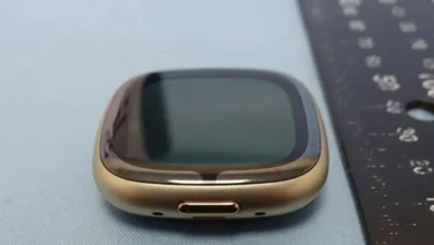 Filtran fotos del Sense 2 y el Versa 4, los próximos relojes premium de Fitbit