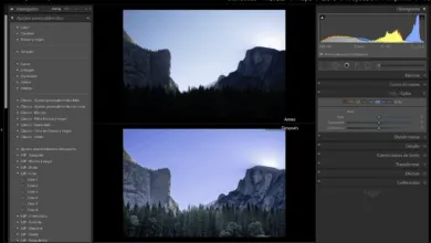 Google Fotos mostrará fotos RAW directamente en la biblioteca