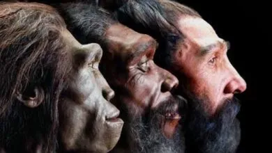 Las 4 Especies Humanas que surgirán en el Futuro