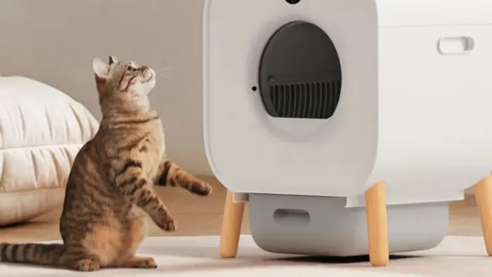 Patológico Suponer Grifo Xiaomi presenta un Arenero Inteligente para Gatos