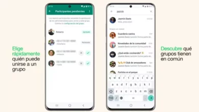Estas son las nuevas funciones para administrar Grupos en WhatsApp