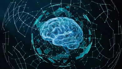 ¿Qué es la Inteligencia Artificial Organoide creada con células cerebrales?