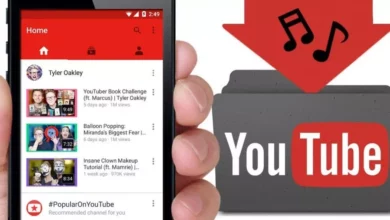 VidMeta: La mejor Herramienta para descargar música desde YouTube