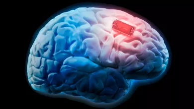 El desarrollo de implantes cerebrales crecerá de manera acelerada durante los próximos años