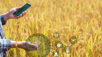 La tecnología 5G y la Inteligencia Artificial aplicada en la agricultura
