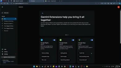 Gemini expande su soporte web con nuevas extensiones