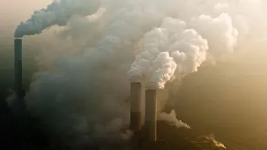 Emisiones globales de CO2 alcanzan un nuevo récord en 2024