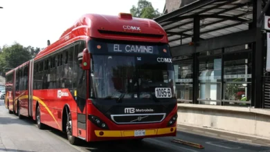 Inteligencia artificial optimizará la flota del Metrobús gracias a estudiante del IPN