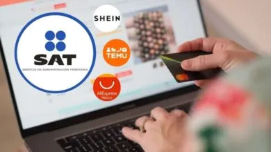 Ley de Ingresos 2025, IVA para Shein, Temu y otras plataformas digitales