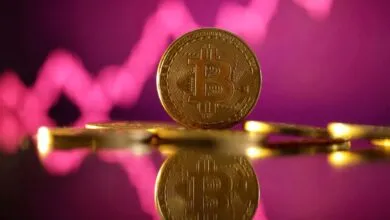 Bitcoin alcanza un nuevo máximo histórico y se anticipa un buen panorama para 2025