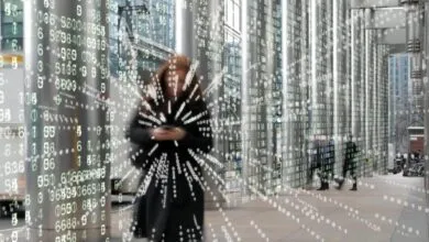 ¿Es peligroso el 5G? La evidencia científica de la Constructor University de Alemania lo aclara
