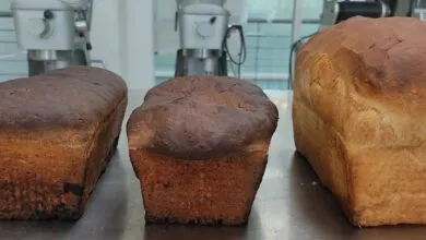 Chapulines en tu pan, innovación que combate la escasez alimentaria
