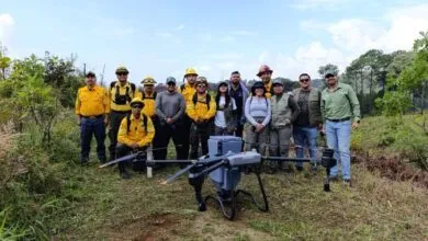 Tecnología verde en acción, drones reforestan zonas incendiadas en Michoacán