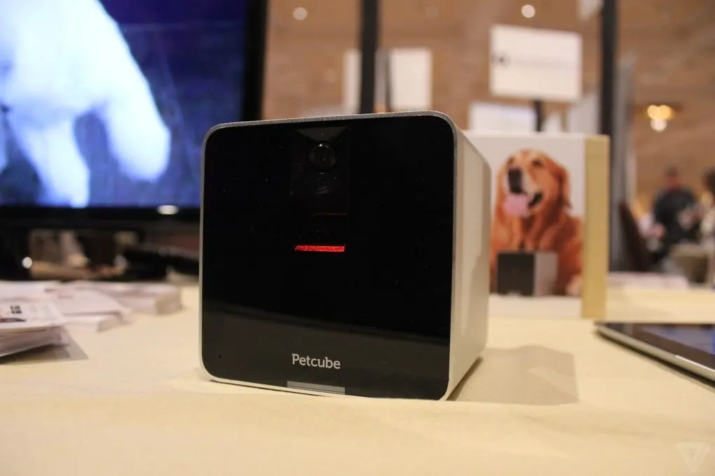 petcube-ces2015