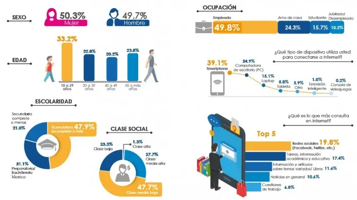 Perfil del usuario promedio de internet en México