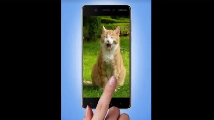 Nokia-8-Cat-Day